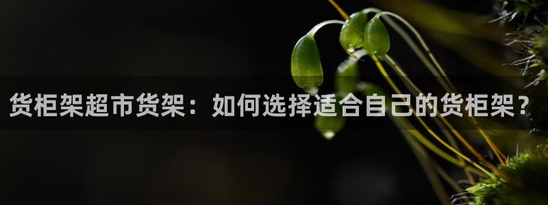 杏运体育app下载安装手机版