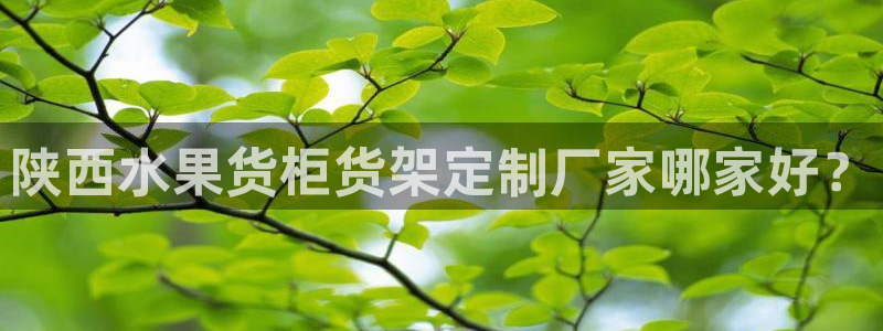 杏运注册平台