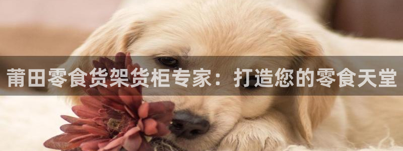 杏运平台登陆