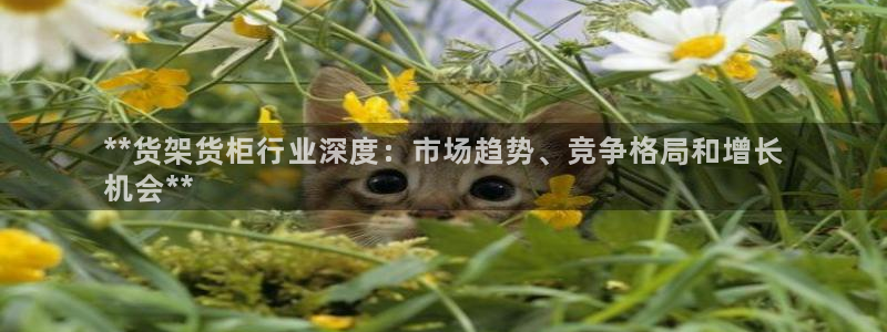 杏运注册登录地址