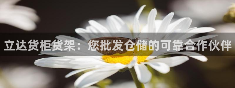 杏运体育注册