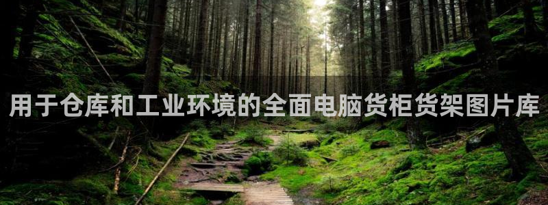 杏运平台官网
