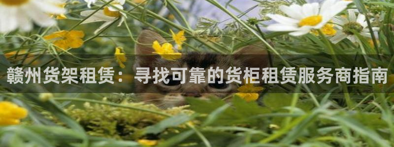 杏运娱乐怎么样