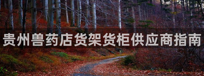 杏运体育官方网址登录