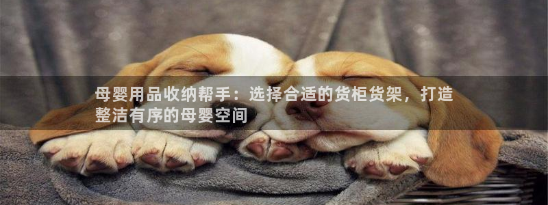 杏运平台代理