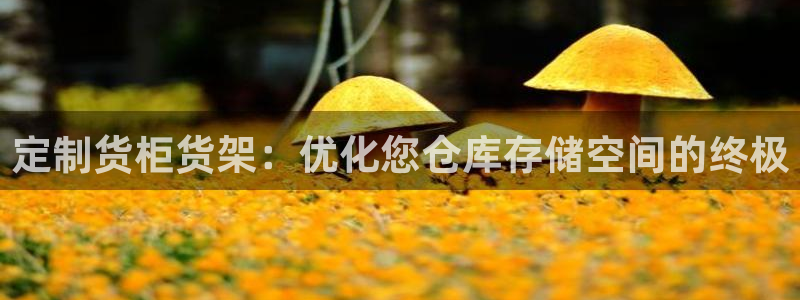 杏运代理