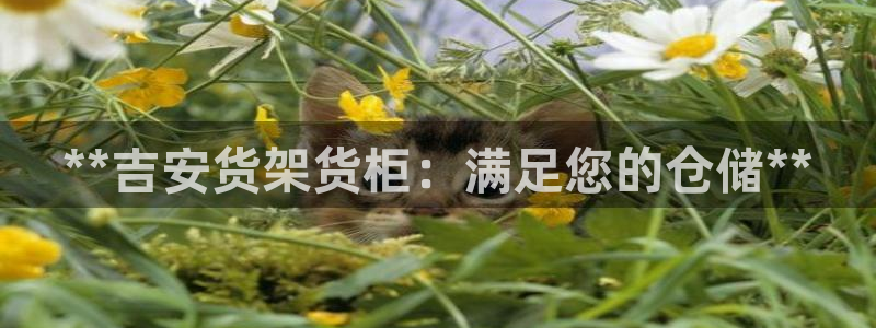 杏运注册平台