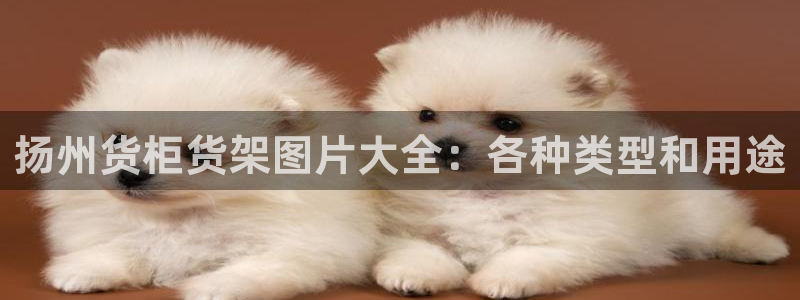 杏运娱乐官网