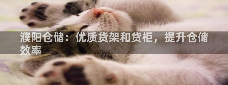 杏运新能源