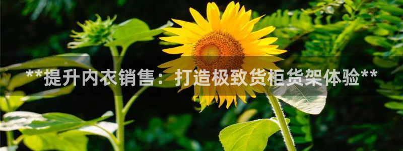 杏运汽车