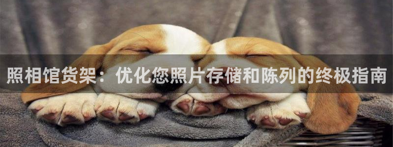 杏运体育app下载安装手机版