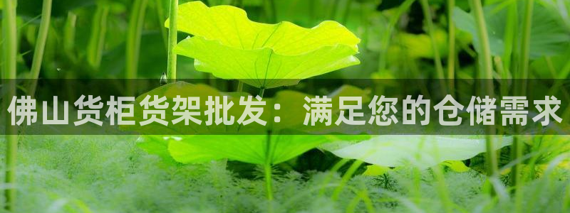 杏运相伴：佛山货柜货架批发：满足您的仓储
