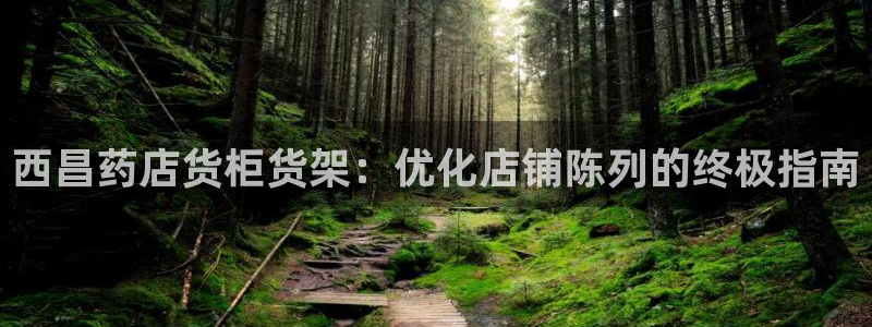 杏运娱乐怎么样：西昌药店货柜货架：优化店