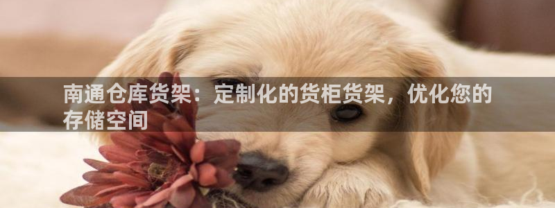杏运平台注册：南通仓库货架：定制化的货柜