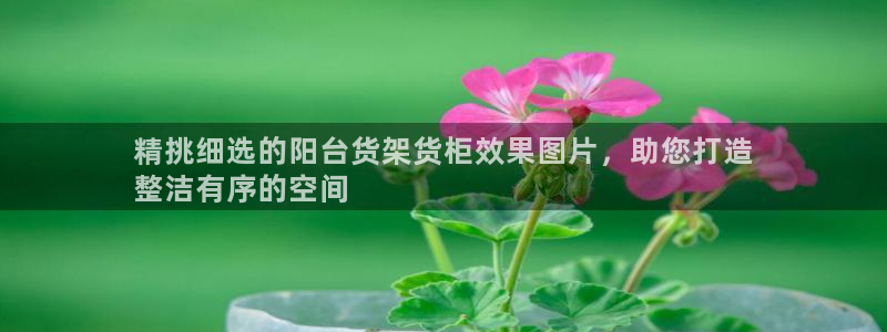杏运平台注册