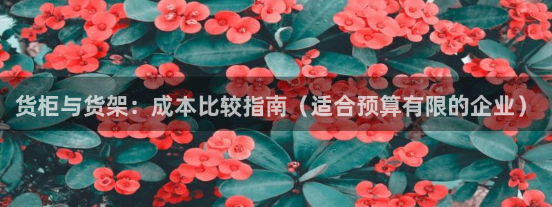 杏运新能源
