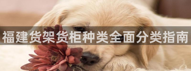 杏运体育娱乐